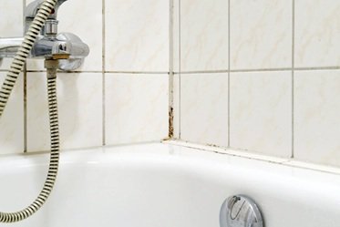 Grout repairs Mouldy tiles in shower in bad need of repair.
